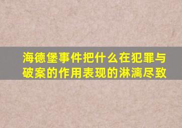 海德堡事件把什么在犯罪与破案的作用表现的淋漓尽致