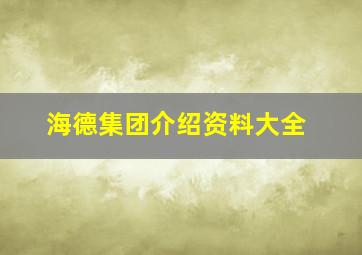 海德集团介绍资料大全