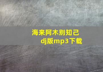 海来阿木别知己dj版mp3下载