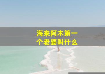 海来阿木第一个老婆叫什么