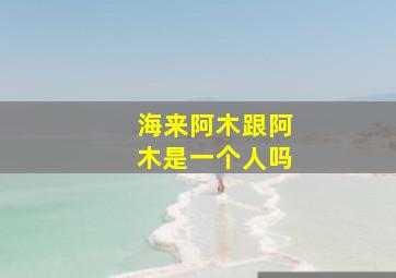 海来阿木跟阿木是一个人吗