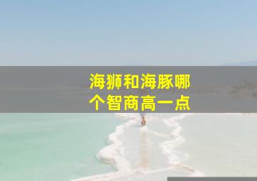 海狮和海豚哪个智商高一点