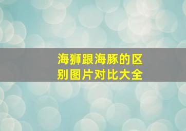 海狮跟海豚的区别图片对比大全