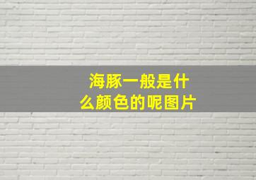 海豚一般是什么颜色的呢图片