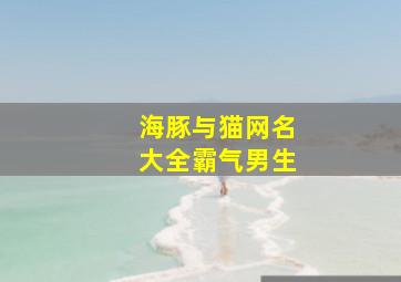 海豚与猫网名大全霸气男生