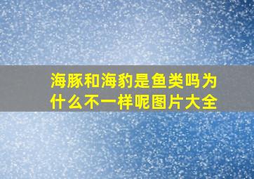 海豚和海豹是鱼类吗为什么不一样呢图片大全