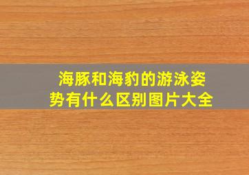 海豚和海豹的游泳姿势有什么区别图片大全