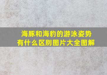 海豚和海豹的游泳姿势有什么区别图片大全图解