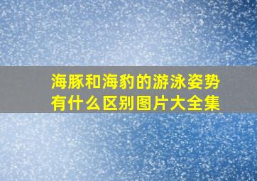 海豚和海豹的游泳姿势有什么区别图片大全集