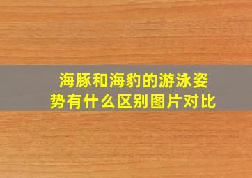 海豚和海豹的游泳姿势有什么区别图片对比