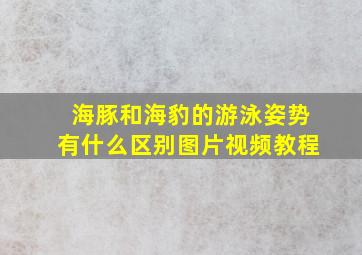 海豚和海豹的游泳姿势有什么区别图片视频教程