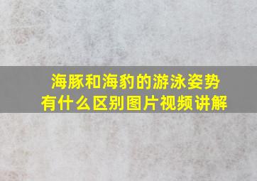 海豚和海豹的游泳姿势有什么区别图片视频讲解