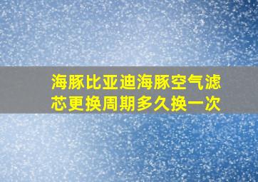 海豚比亚迪海豚空气滤芯更换周期多久换一次