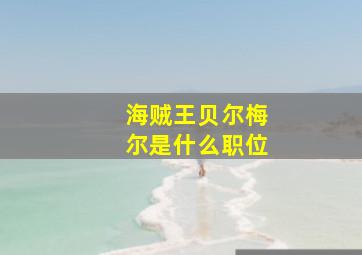 海贼王贝尔梅尔是什么职位