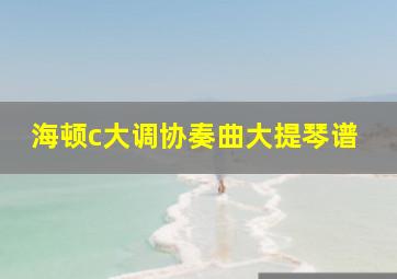 海顿c大调协奏曲大提琴谱