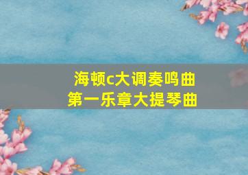 海顿c大调奏鸣曲第一乐章大提琴曲