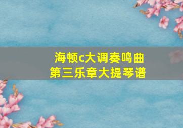 海顿c大调奏鸣曲第三乐章大提琴谱