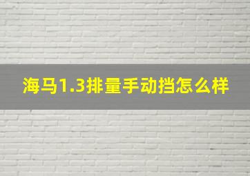 海马1.3排量手动挡怎么样