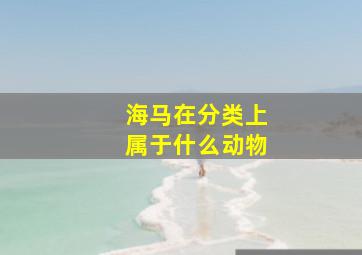 海马在分类上属于什么动物