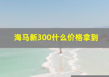 海马新300什么价格拿到