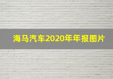 海马汽车2020年年报图片