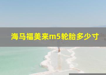 海马福美来m5轮胎多少寸