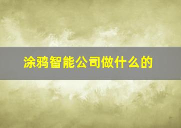 涂鸦智能公司做什么的