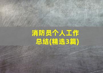 消防员个人工作总结(精选3篇)