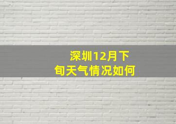 深圳12月下旬天气情况如何