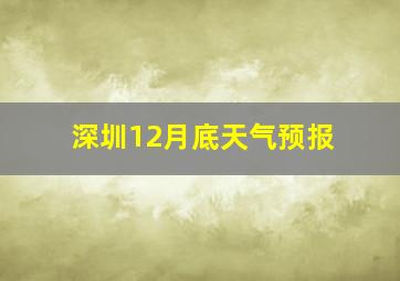 深圳12月底天气预报