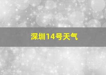 深圳14号天气