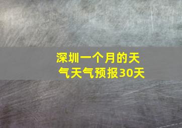 深圳一个月的天气天气预报30天