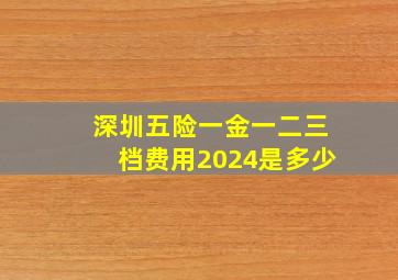 深圳五险一金一二三档费用2024是多少