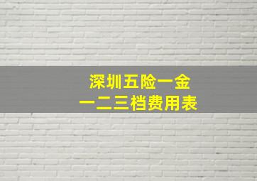 深圳五险一金一二三档费用表