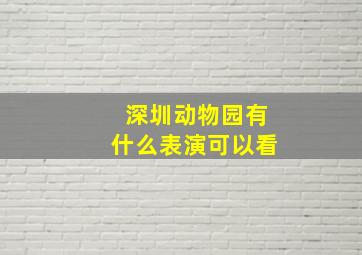 深圳动物园有什么表演可以看