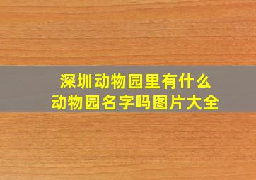 深圳动物园里有什么动物园名字吗图片大全