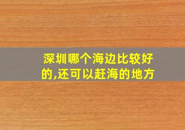 深圳哪个海边比较好的,还可以赶海的地方