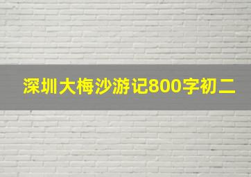 深圳大梅沙游记800字初二