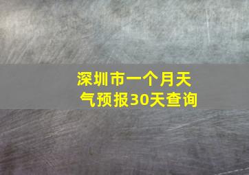 深圳市一个月天气预报30天查询