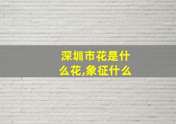 深圳市花是什么花,象征什么