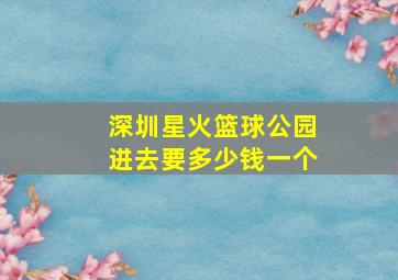 深圳星火篮球公园进去要多少钱一个