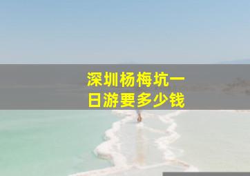 深圳杨梅坑一日游要多少钱