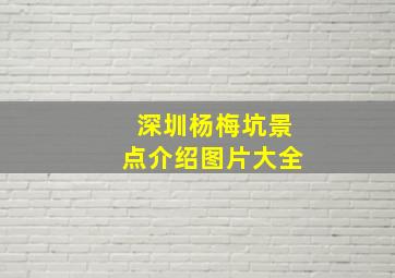 深圳杨梅坑景点介绍图片大全