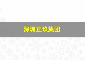 深圳正玖集团