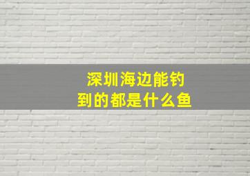 深圳海边能钓到的都是什么鱼