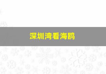 深圳湾看海鸥