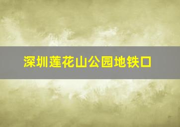 深圳莲花山公园地铁口