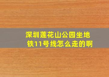 深圳莲花山公园坐地铁11号线怎么走的啊