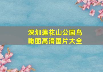 深圳莲花山公园鸟瞰图高清图片大全