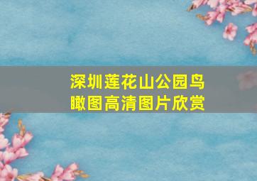 深圳莲花山公园鸟瞰图高清图片欣赏